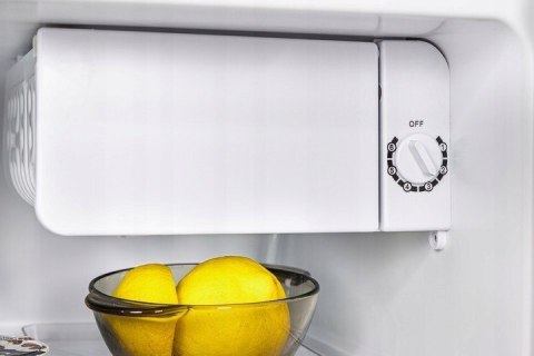 Mała Lodówka SIGMA BC45 Czarna 50cm 43L Mała Lodówka SIGMA BC45 Czarna 50cm 43L